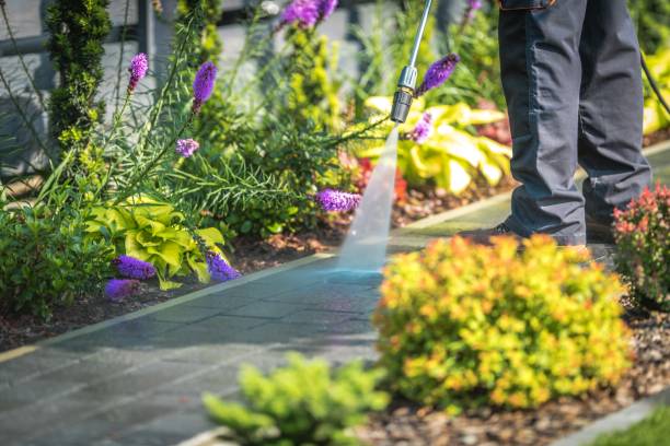 Best Parking Lot and Garage Cleaning  in North Merritt Island, FL